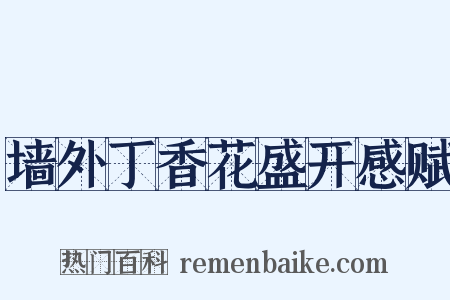 墙外丁香花盛开感赋是什么意思的图片